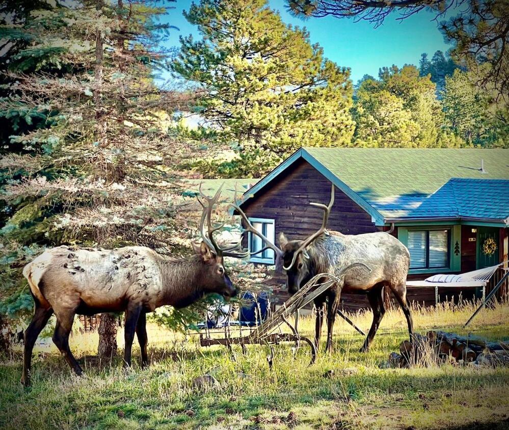 Mountain Shadows Resort Estes Park Eksteriør billede