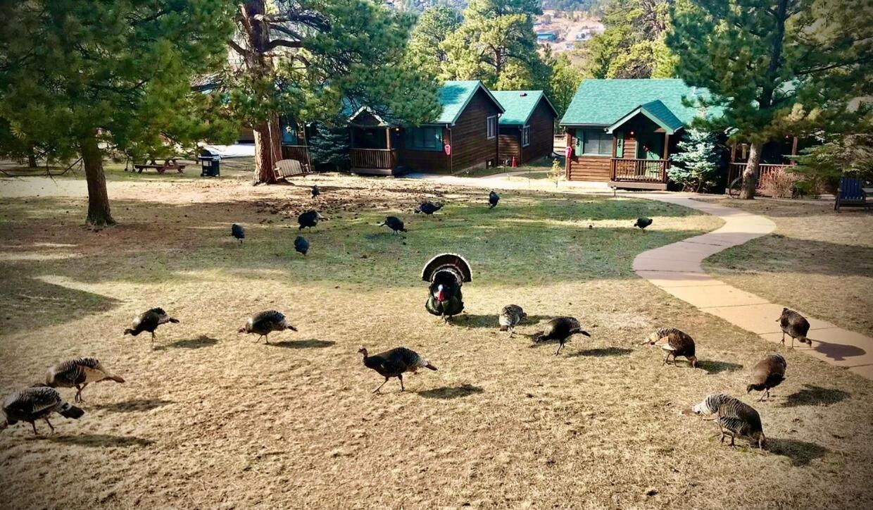 Mountain Shadows Resort Estes Park Eksteriør billede