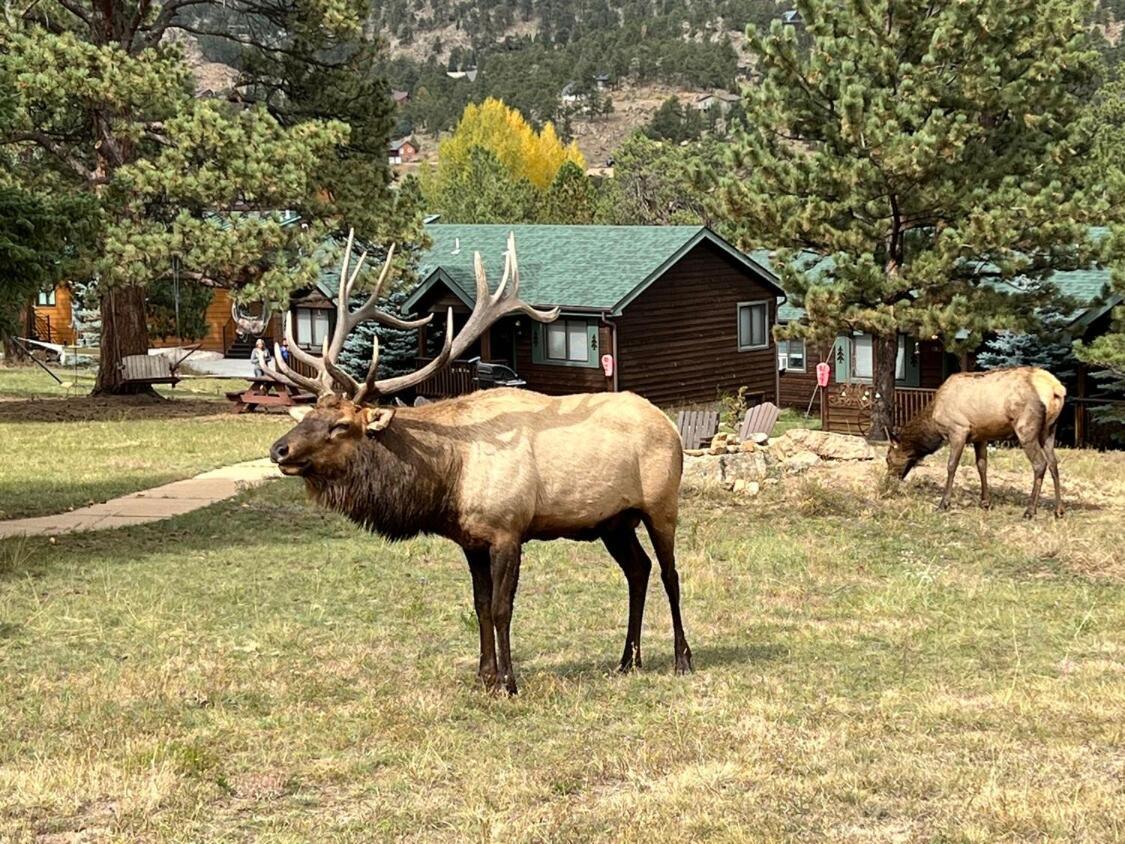 Mountain Shadows Resort Estes Park Eksteriør billede