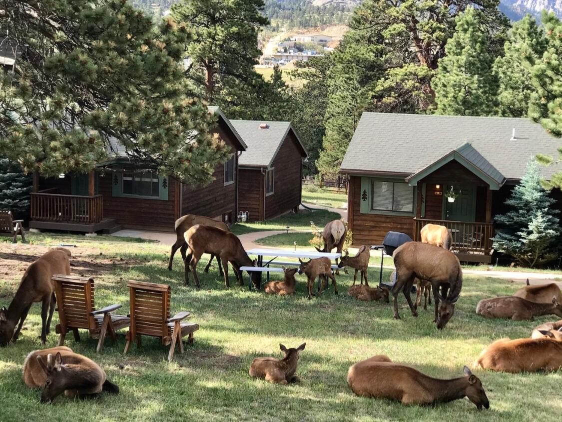 Mountain Shadows Resort Estes Park Eksteriør billede