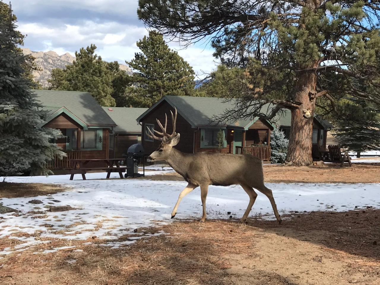 Mountain Shadows Resort Estes Park Eksteriør billede