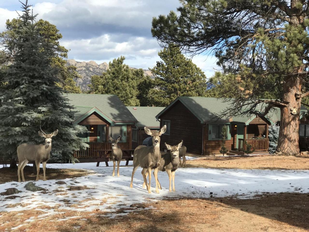 Mountain Shadows Resort Estes Park Eksteriør billede